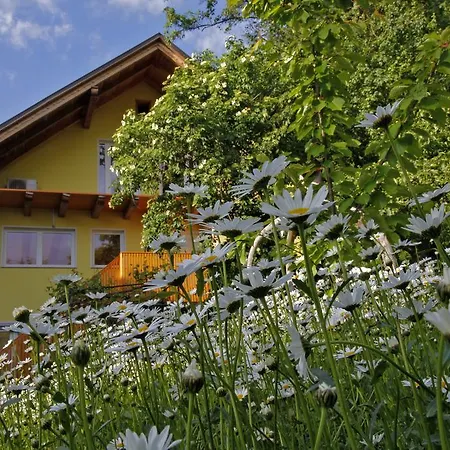 Апартаменты Murka *