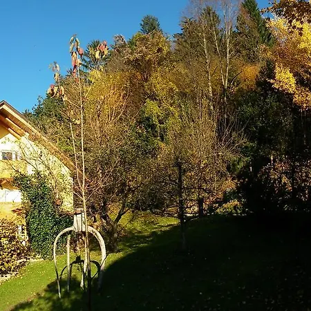 Murka Апартаменты *